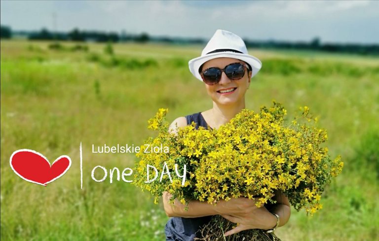 Lubelskie zioła